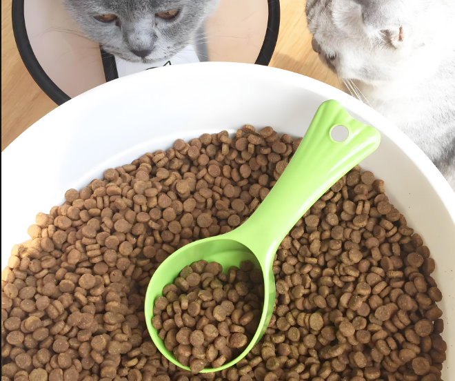 寵物食品檢驗(yàn)測(cè)試服務(wù)：全方位守護(hù)寵物飲食安全！