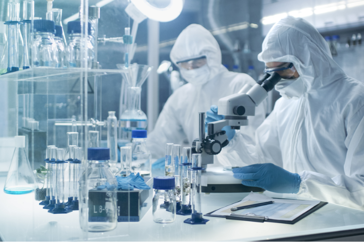 藥品質(zhì)量標(biāo)準(zhǔn)體系！