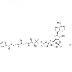苯甲酰輔酶A鋰鹽